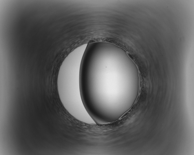 X0000089430818200706151020