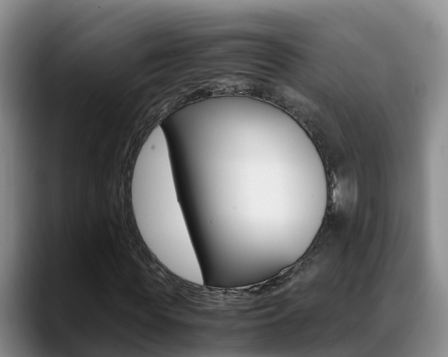 X0000089430819200706151020