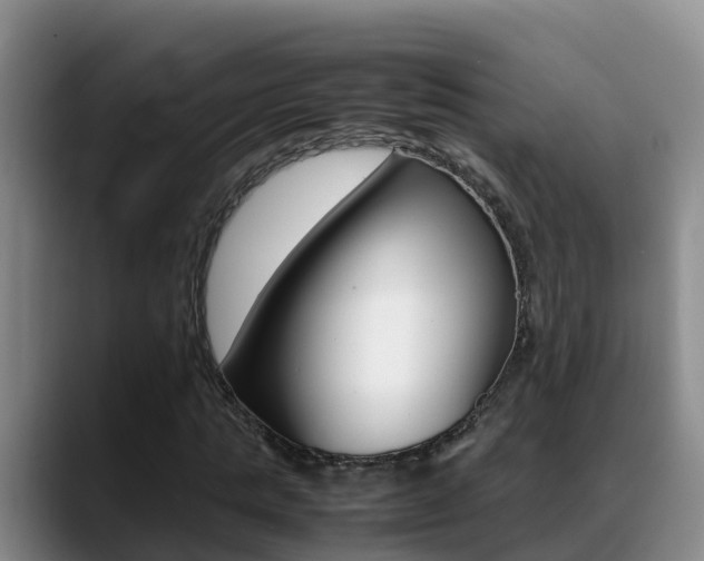 X0000089430821200706151020