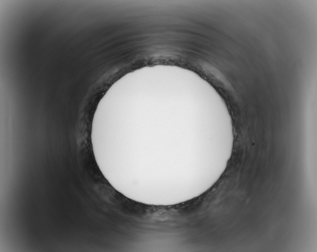 X0000089430824200706151020
