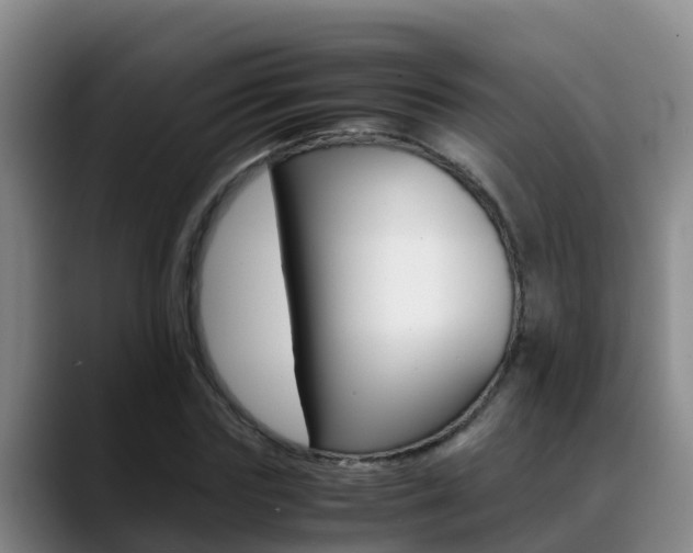 X0000089430827200706151020