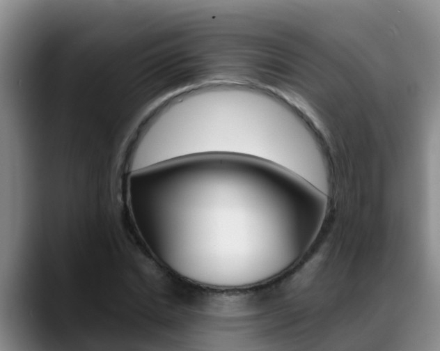 X0000089430830200706151020