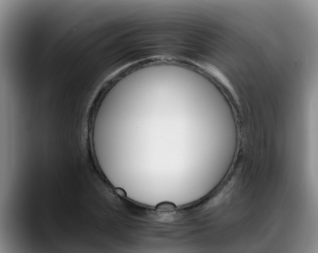 X0000089430831200706151020