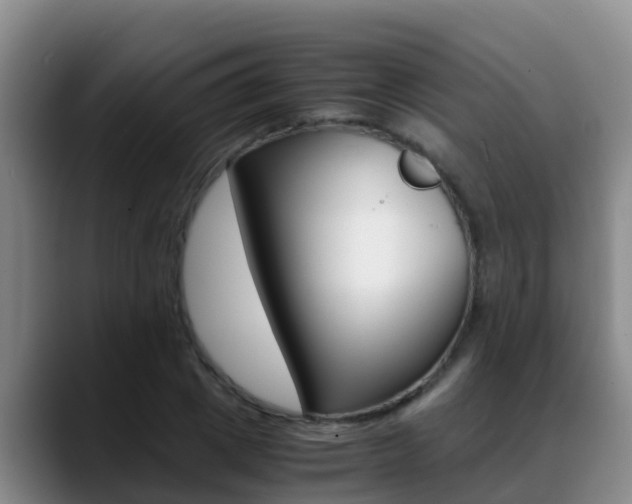 X0000089430833200706151020