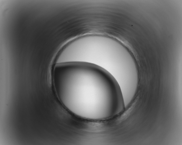 X0000089430838200706151020