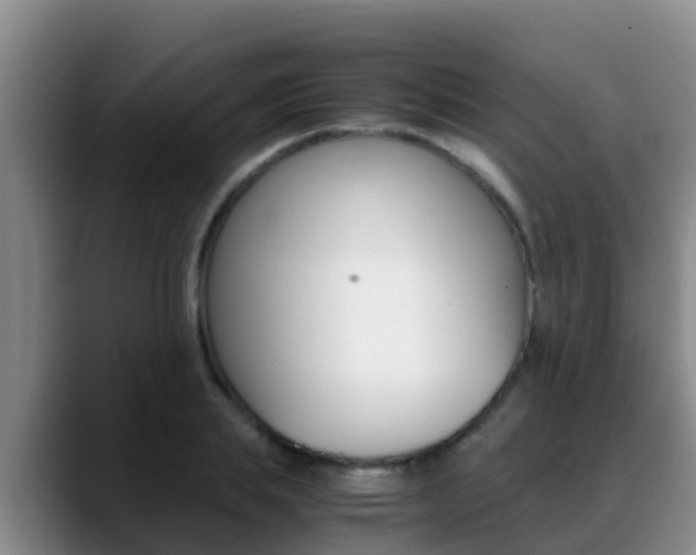 X0000089430839200706151020