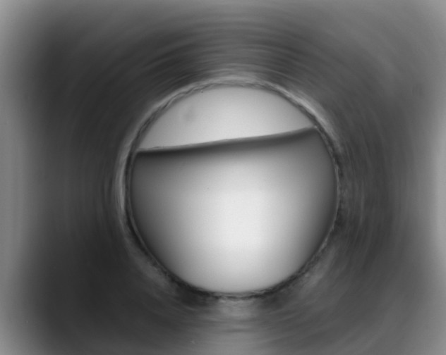 X0000089430840200706151020