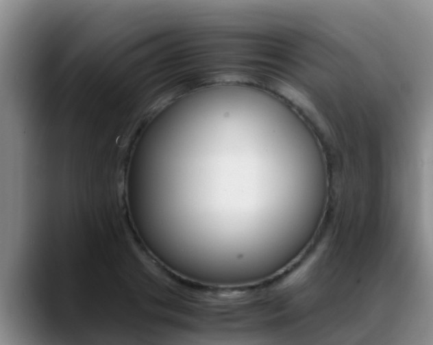 X0000089430841200706151020