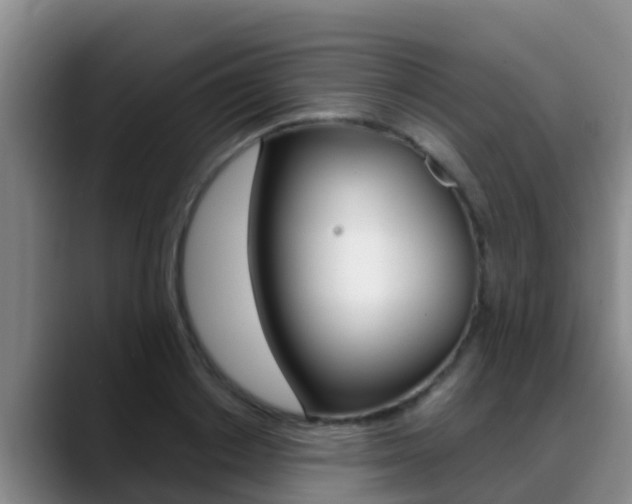 X0000089430842200706151020