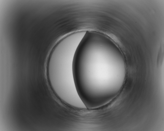 X0000089430846200706151020