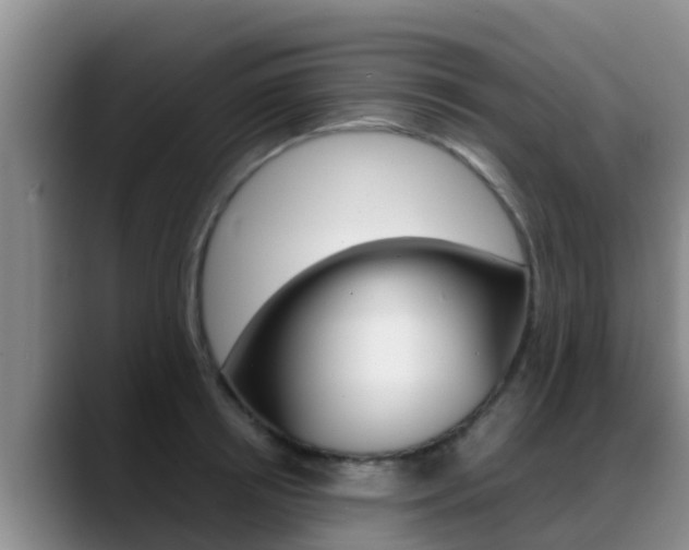 X0000089430850200706151020
