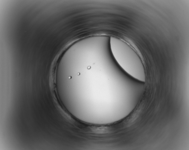 X0000089430851200706151020