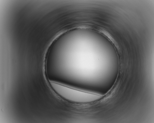 X0000089430853200706151020
