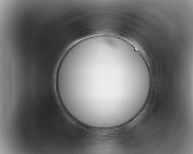 X0000089430854200706151020