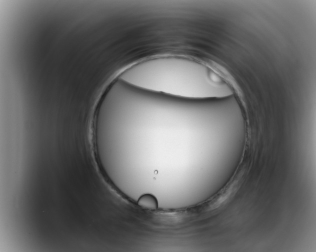 X0000089430855200706151020