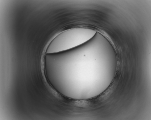 X0000089430859200706151020