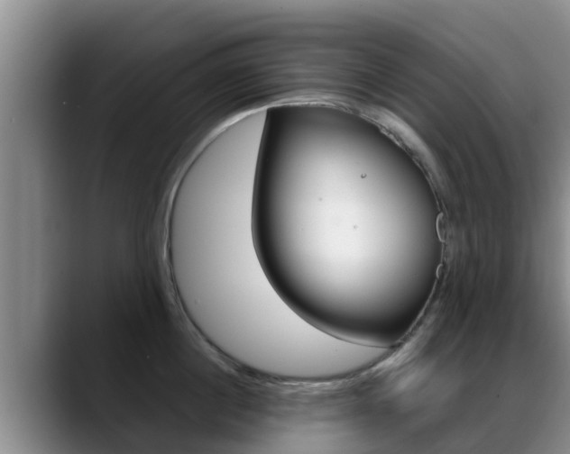 X0000089430860200706151020