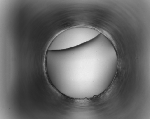 X0000089430863200706151020