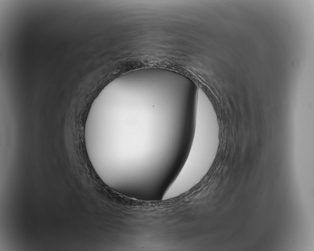 X0000089430865200706151020