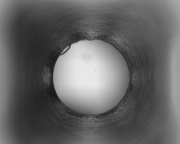 X0000089430866200706151020