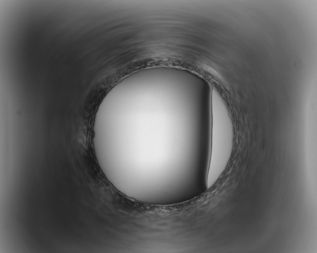 X0000089430869200706151020