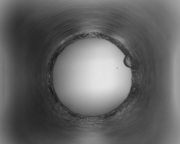 X0000089430871200706151020