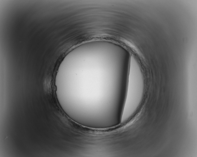 X0000089430873200706151020