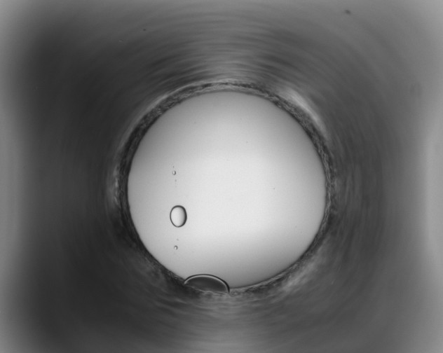 X0000089430875200706151020
