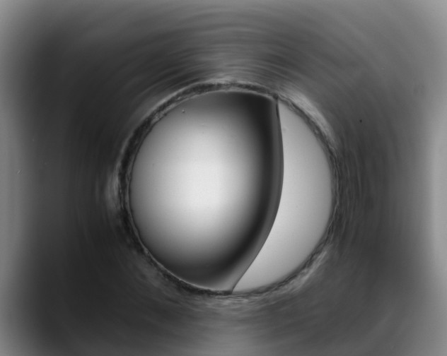 X0000089430876200706151020