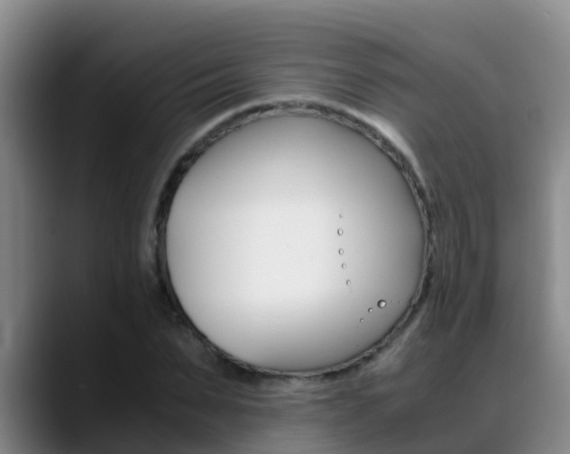 X0000089430879200706151020