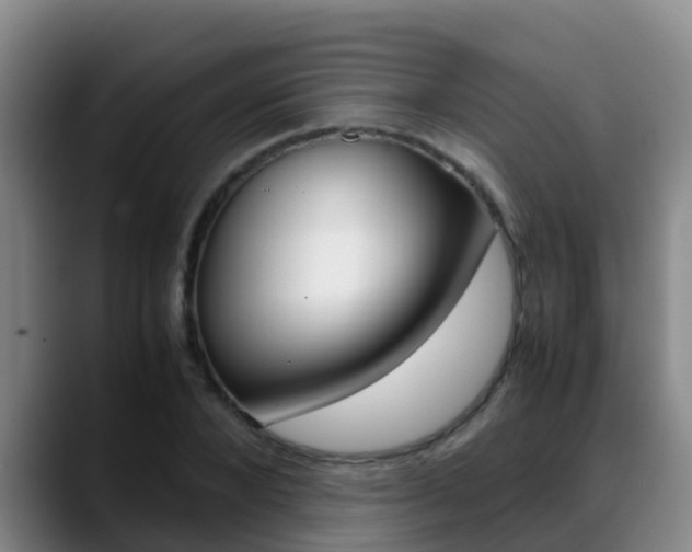 X0000089430880200706151020