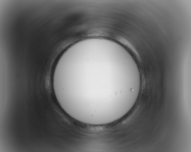 X0000089430882200706151020
