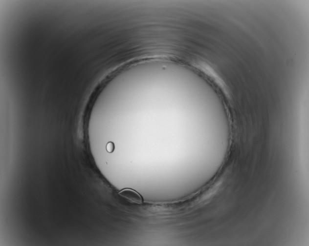 X0000089430883200706151020