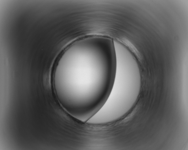 X0000089430884200706151019