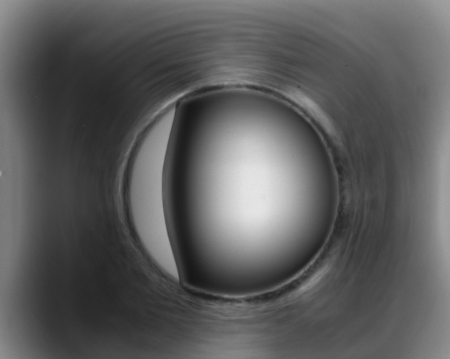 X0000089430885200706151019