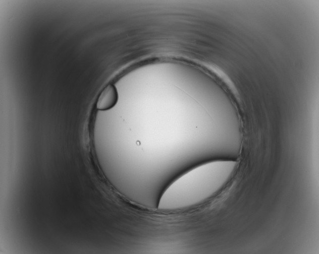X0000089430887200706151019