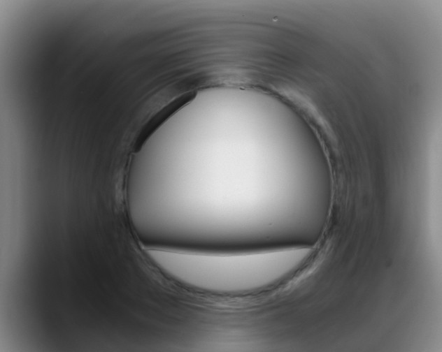 X0000089430889200706151019