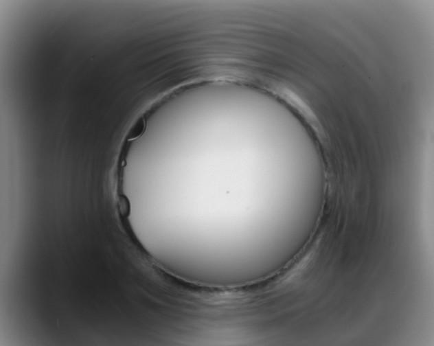 X0000089430891200706151019