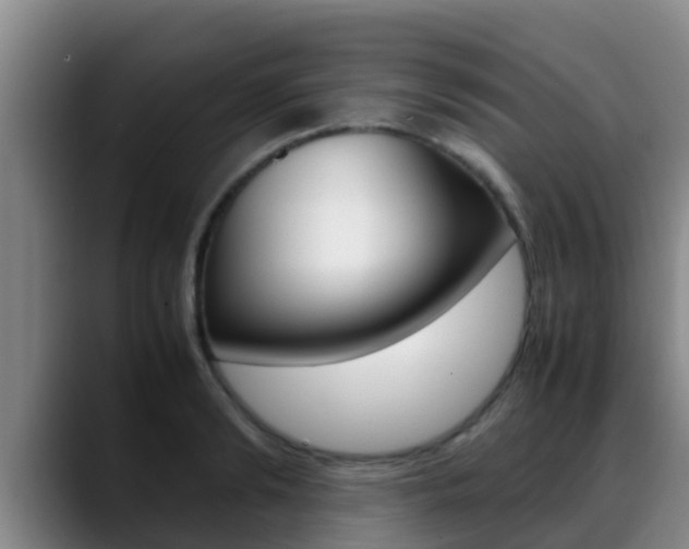 X0000089430894200706151019