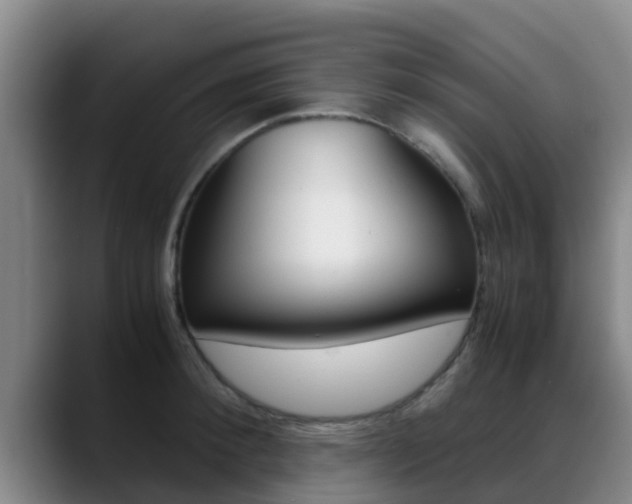 X0000089430900200706151019
