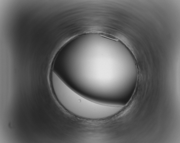 X0000089430901200706151019