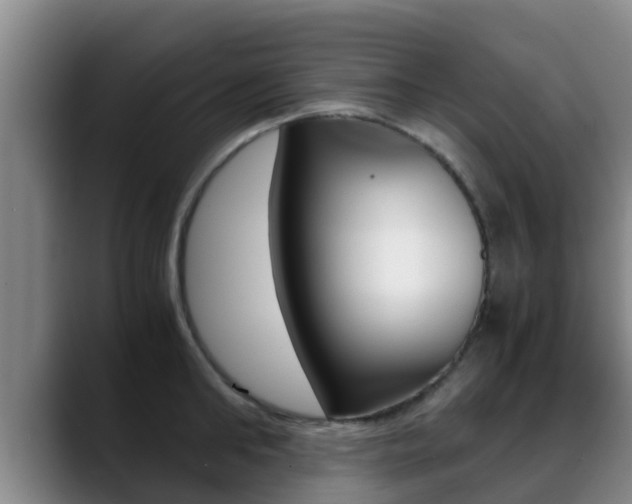 X0000089430902200706151019