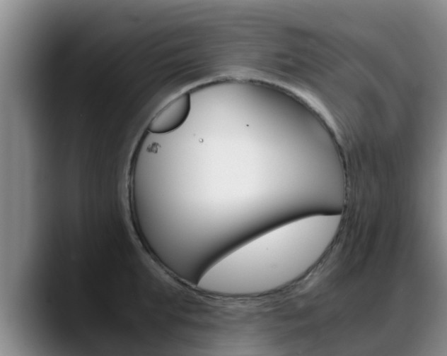 X0000089430903200706151019
