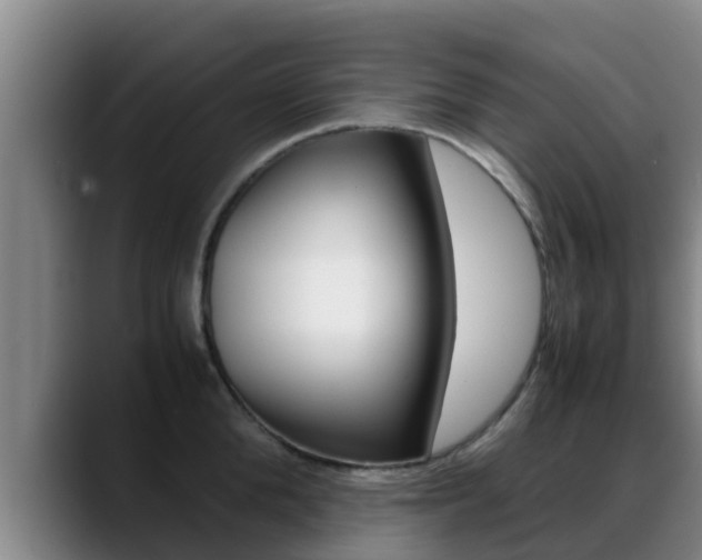 X0000089430904200706151019