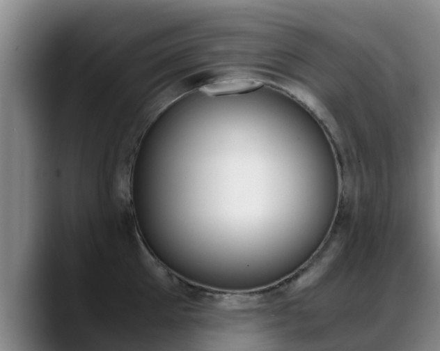 X0000089430905200706151019