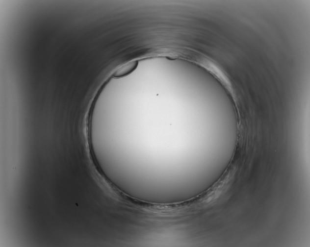 X0000089430907200706151019