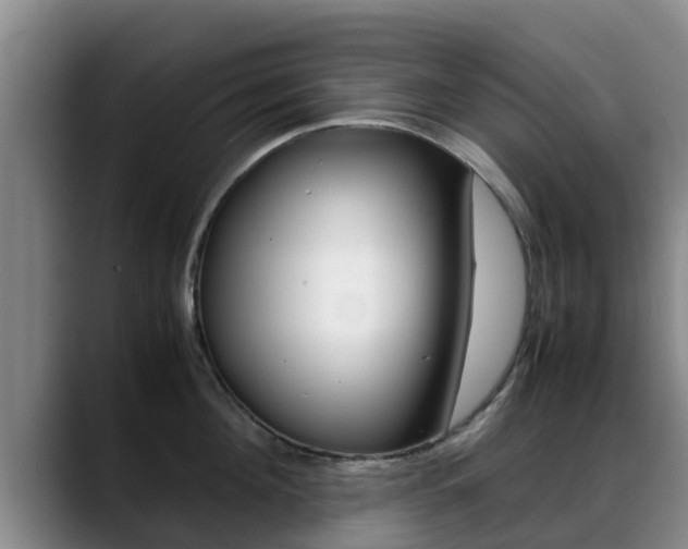 X0000089430908200706151019