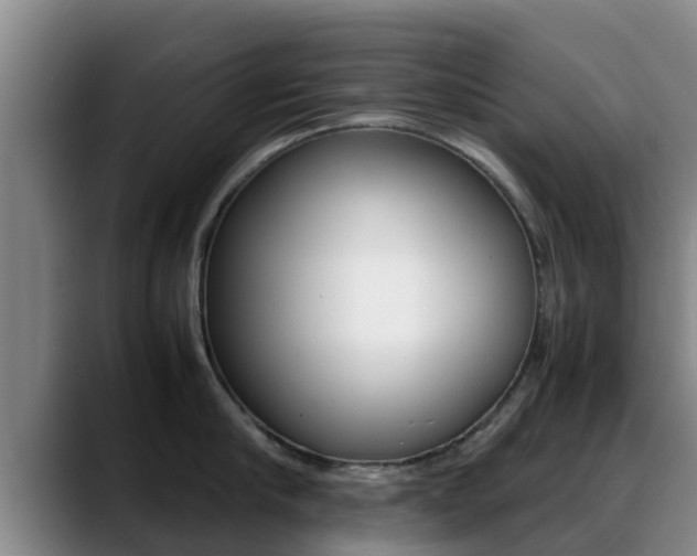 X0000089430910200706151019