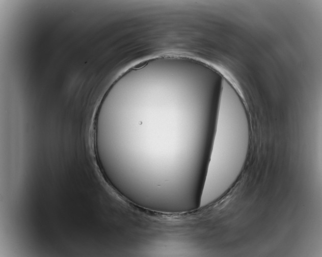 X0000089430911200706151019