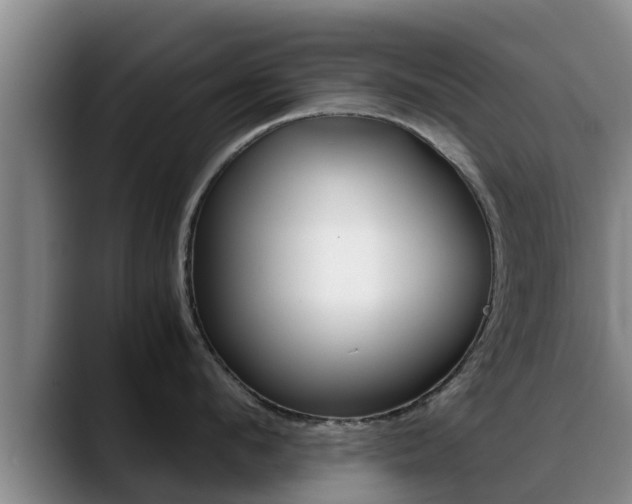 X0000089430912200706151019